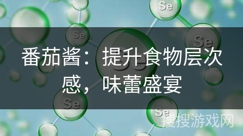 番茄酱：提升食物层次感，味蕾盛宴