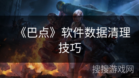 《巴点》软件数据清理技巧