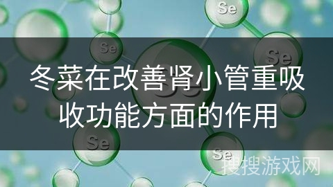 冬菜在改善肾小管重吸收功能方面的作用