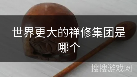 世界更大的禅修集团是哪个 世界更大的禅修集团是哪个