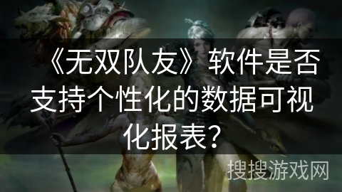 《无双队友》软件是否支持个性化的数据可视化报表？