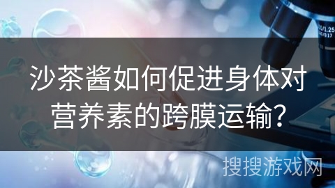 沙茶酱如何促进身体对营养素的跨膜运输？
