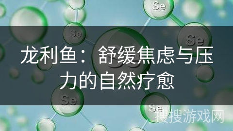 龙利鱼：舒缓焦虑与压力的自然疗愈