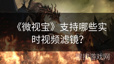 《微视宝》支持哪些实时视频滤镜？