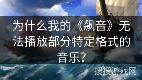 为什么我的《飙音》无法播放部分特定格式的音乐？