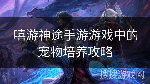 嘻游神途手游游戏中的宠物培养攻略