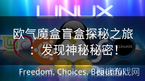 欧气魔盒盲盒探秘之旅：发现神秘秘密！