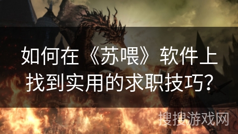 如何在《苏喂》软件上找到实用的求职技巧？