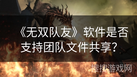 《无双队友》软件是否支持团队文件共享？