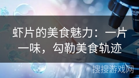 虾片的美食魅力：一片一味，勾勒美食轨迹