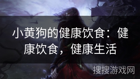 小黄狗的健康饮食：健康饮食，健康生活
