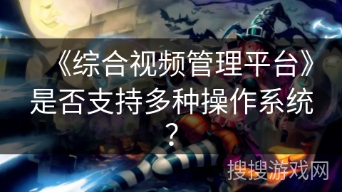 《综合视频管理平台》是否支持多种操作系统？