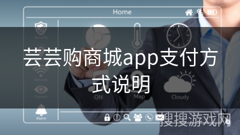 芸芸购商城app支付方式说明