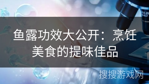 鱼露功效大公开:烹饪美食的提味佳品 鱼露功效大公开:烹饪美食的提味佳品