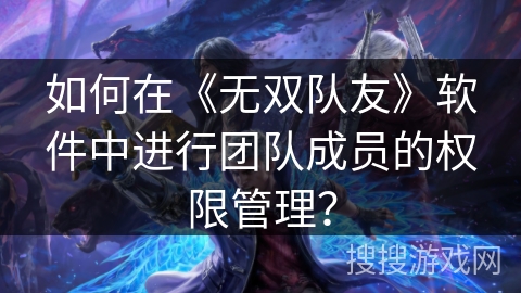 如何在《无双队友》软件中进行团队成员的权限管理? 如何在《无双队友》软件中进行团队成员的权限管理?