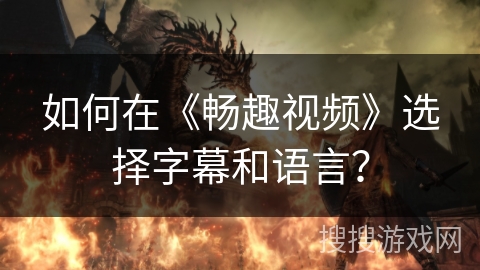 如何在《畅趣视频》选择字幕和语言？