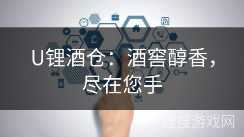 U锂酒仓：酒窖醇香，尽在您手