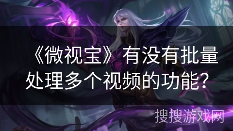 《微视宝》有没有批量处理多个视频的功能？