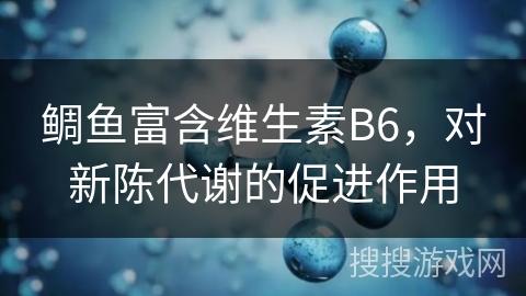 鲷鱼富含维生素B6，对新陈代谢的促进作用