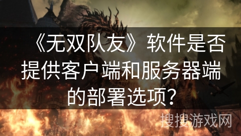 《无双队友》软件是否提供客户端和服务器端的部署选项？