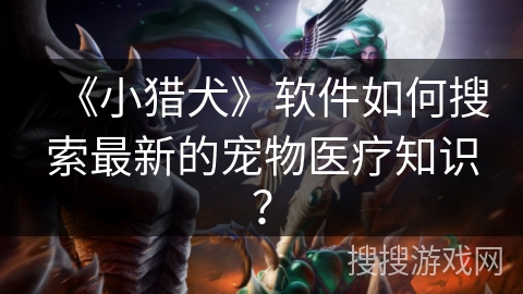 《小猎犬》软件如何搜索最新的宠物医疗知识？