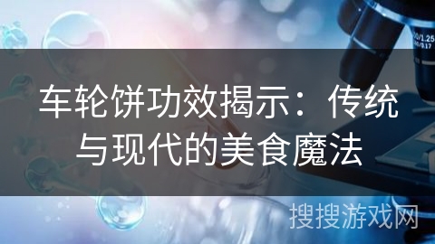 车轮饼功效揭示：传统与现代的美食魔法