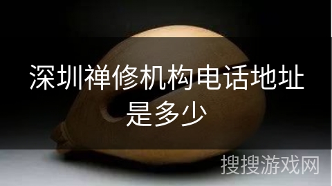 深圳禅修机构电话地址是多少