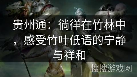 贵州通：徜徉在竹林中，感受竹叶低语的宁静与祥和