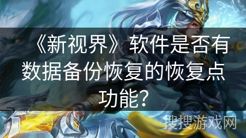 《新视界》软件是否有数据备份恢复的恢复点功能？