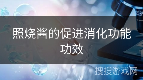 照烧酱的促进消化功能功效