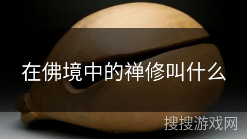 在佛境中的禅修叫什么