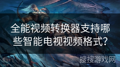 全能视频转换器支持哪些智能电视视频格式？
