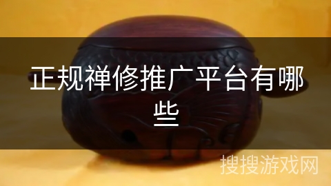 正规禅修推广平台有哪些 正规禅修推广平台有哪些