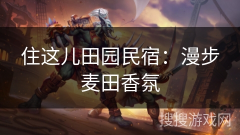 住这儿田园民宿：漫步麦田香氛