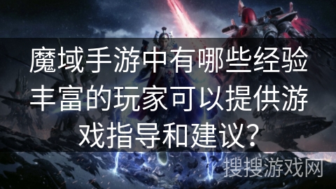 魔域手游中有哪些经验丰富的玩家可以提供游戏指导和建议？