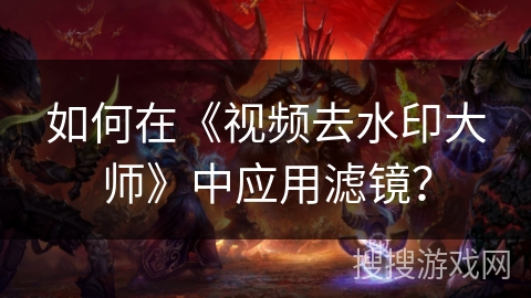 如何在《视频去水印大师》中应用滤镜？