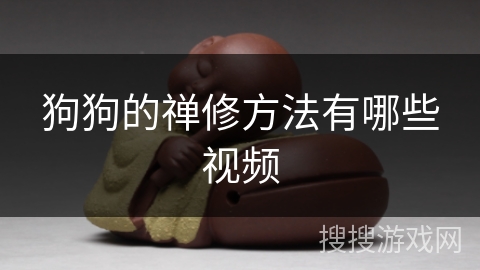 狗狗的禅修方法有哪些视频