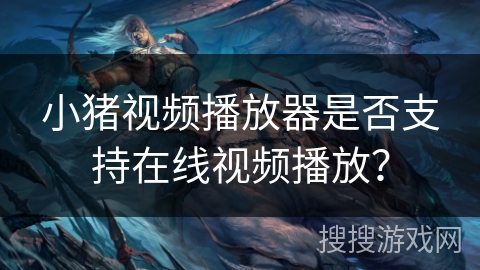 小猪视频播放器是否支持在线视频播放？