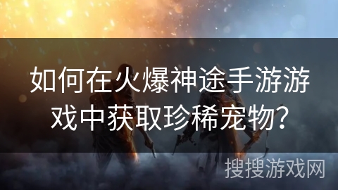 如何在火爆神途手游游戏中获取珍稀宠物？