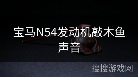 宝马N54发动机敲木鱼声音