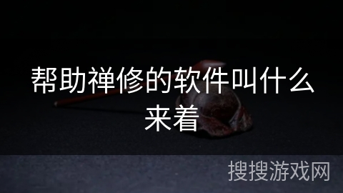 帮助禅修的软件叫什么来着