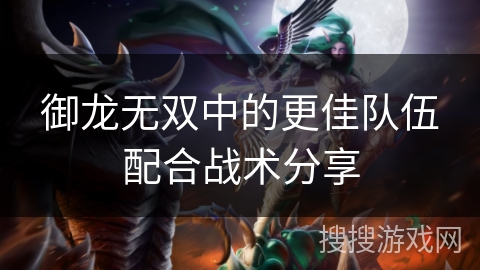 御龙无双中的更佳队伍配合战术分享