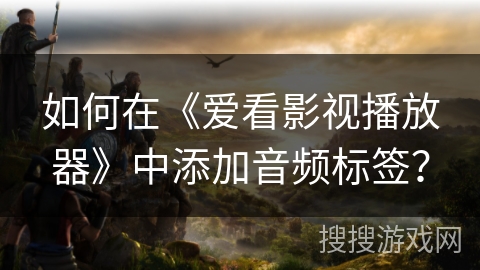 如何在《爱看影视播放器》中添加音频标签？