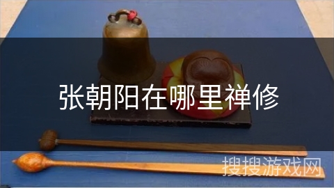 张朝阳在哪里禅修