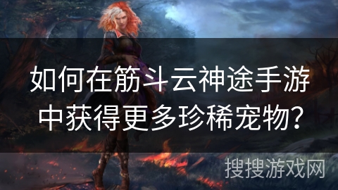 如何在筋斗云神途手游中获得更多珍稀宠物？