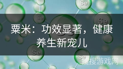 粟米：功效显著，健康养生新宠儿