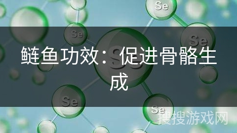 鲢鱼功效：促进骨骼生成