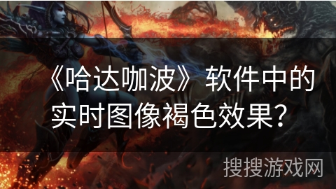 《哈达咖波》软件中的实时图像褐色效果？