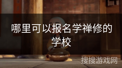 哪里可以报名学禅修的学校