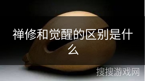 禅修和觉醒的区别是什么